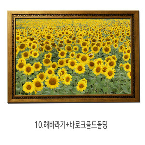 대형해바라기사진액자 행운벽걸이액자 10.해바라기